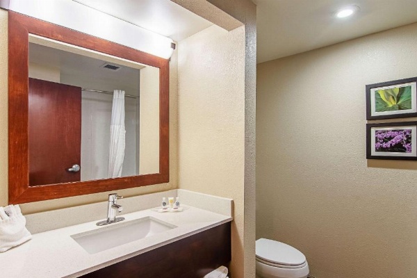 Comfort Suites Airport Alcoa image 10