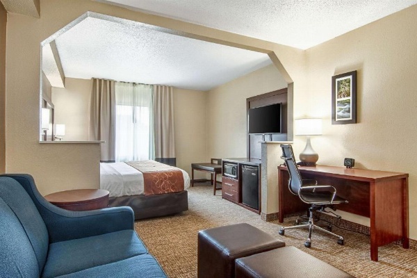 Comfort Suites Airport Alcoa image 17