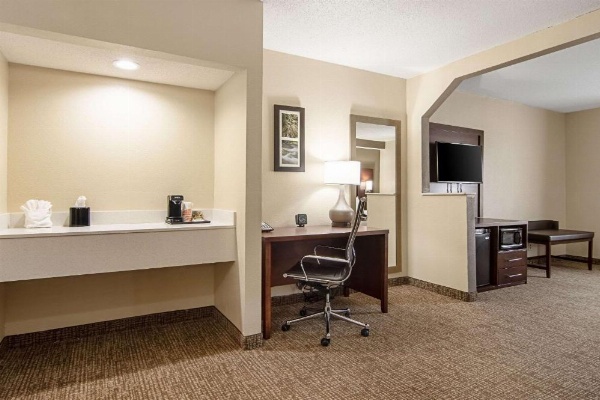 Comfort Suites Airport Alcoa image 22