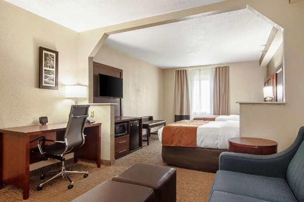 Comfort Suites Airport Alcoa image 25